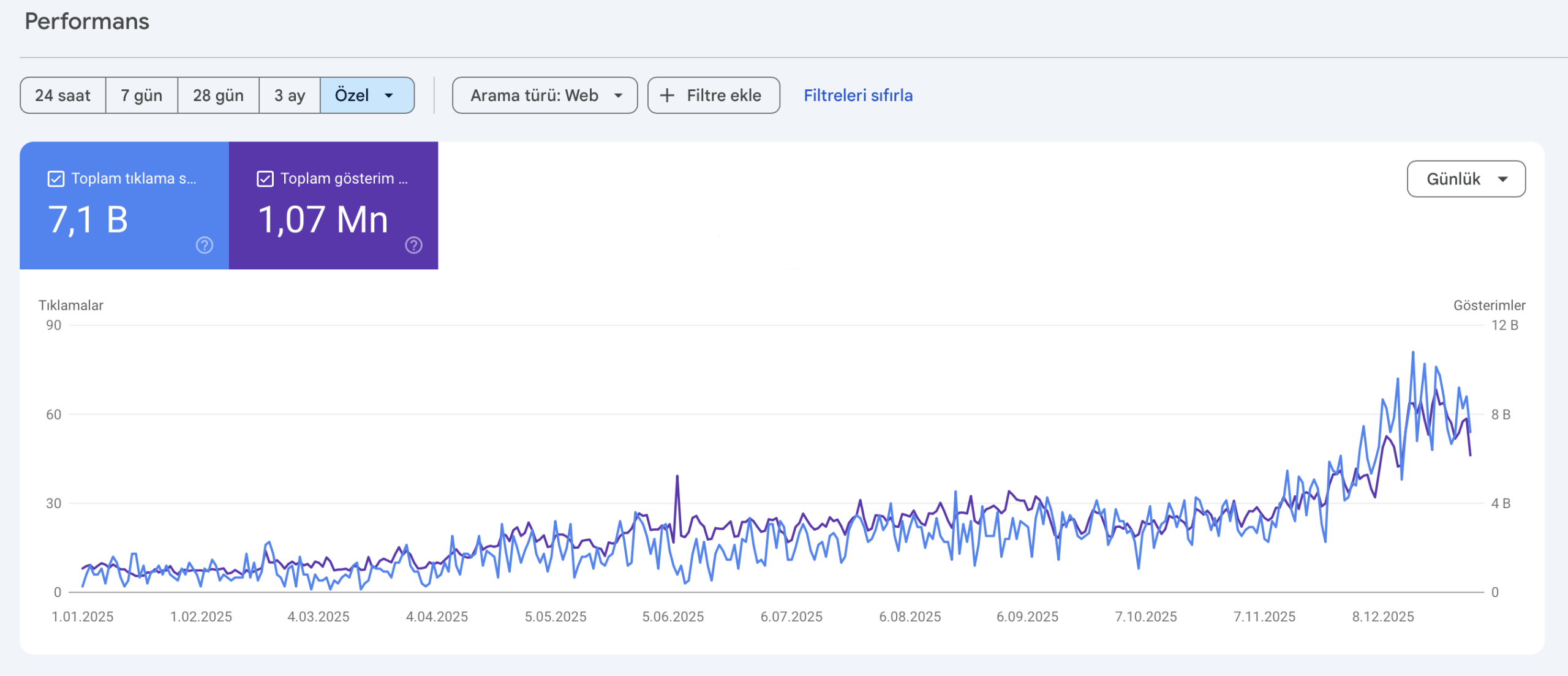 2025 Yıllık GSC Performans Grafiği