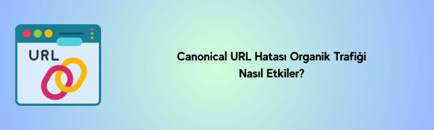 Canonical URL Hatası Organik Trafiği Nasıl Etkiler?